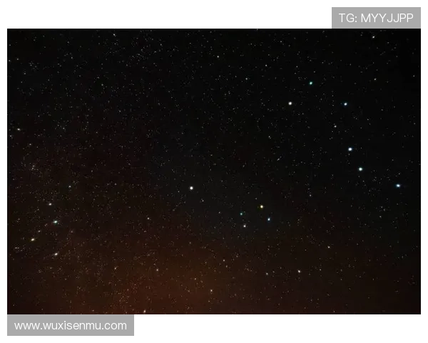 影讯网：点亮你的观影宇宙，不止于信息，更在于惊喜