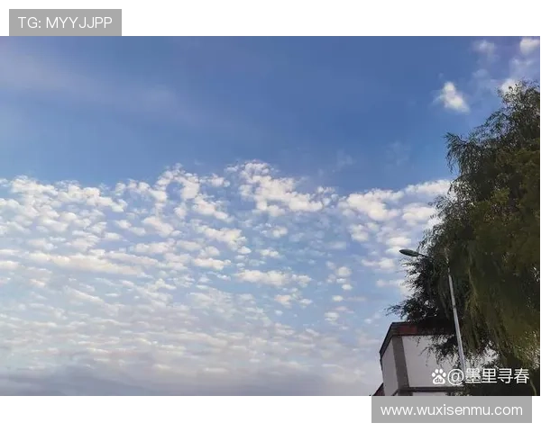 暗刀：不动声色，却能洞穿一切的锋芒