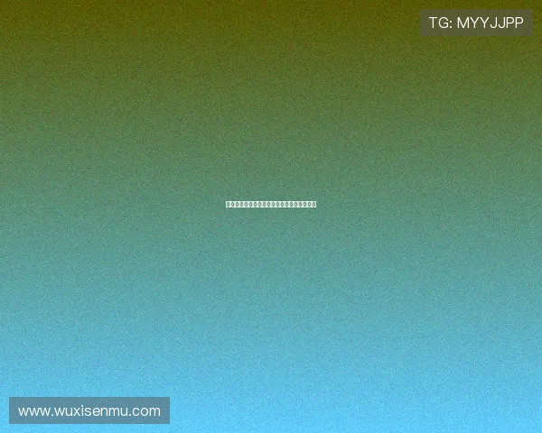 和平阳光的年代：重拾温暖，共绘美好新篇章