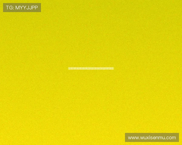 战鸽总动员：当英雄羽翼划破长空，一场史诗级飞行冒险等你加入！